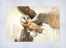 Load image into Gallery viewer, Graceful Landing