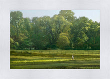 Load image into Gallery viewer, I Retired Into the Woods