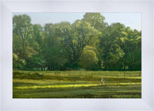 Load image into Gallery viewer, I Retired Into the Woods