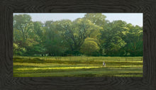 Load image into Gallery viewer, I Retired Into the Woods