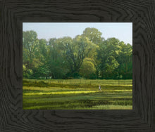 Load image into Gallery viewer, I Retired Into the Woods