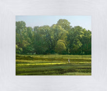 Load image into Gallery viewer, I Retired Into the Woods