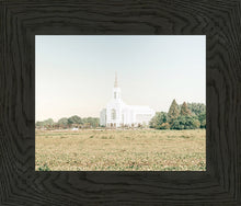Load image into Gallery viewer, Burley Idaho Immaculate Embrace Blue