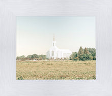 Load image into Gallery viewer, Burley Idaho Immaculate Embrace Blue
