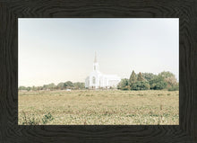 Load image into Gallery viewer, Burley Idaho Immaculate Embrace Blue