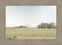 Load image into Gallery viewer, Burley Idaho Immaculate Embrace Blue