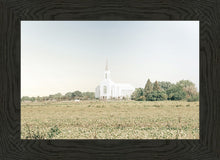 Load image into Gallery viewer, Burley Idaho Immaculate Embrace Blue