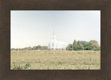 Load image into Gallery viewer, Burley Idaho Immaculate Embrace Blue
