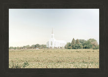 Load image into Gallery viewer, Burley Idaho Immaculate Embrace Blue
