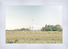 Load image into Gallery viewer, Burley Idaho Immaculate Embrace Blue