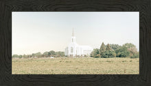 Load image into Gallery viewer, Burley Idaho Immaculate Embrace Blue
