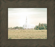 Load image into Gallery viewer, Burley Idaho Immaculate Embrace Pastel