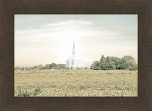 Load image into Gallery viewer, Burley Idaho Immaculate Embrace Pastel