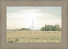 Load image into Gallery viewer, Burley Idaho Immaculate Embrace Pastel