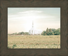 Load image into Gallery viewer, Burley Idaho Immaculate Embrace Pastel