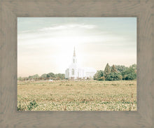 Load image into Gallery viewer, Burley Idaho Immaculate Embrace Pastel