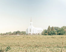 Load image into Gallery viewer, Burley Idaho Immaculate Embrace Blue