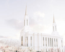 Load image into Gallery viewer, Lindon Utah Immaculate Embrace