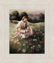 Load image into Gallery viewer, Lilies Of The Field