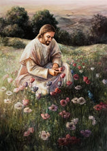 Load image into Gallery viewer, Lilies Of The Field
