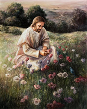Load image into Gallery viewer, Lilies Of The Field