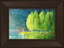 Load image into Gallery viewer, Beside Still Waters