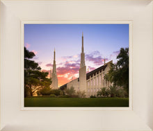 Load image into Gallery viewer, Las Vegas Desert Rose