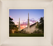 Load image into Gallery viewer, Las Vegas Desert Rose