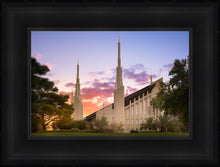 Load image into Gallery viewer, Las Vegas Desert Rose