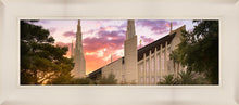 Load image into Gallery viewer, Las Vegas Desert Rose