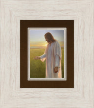Load image into Gallery viewer, Light of The Son