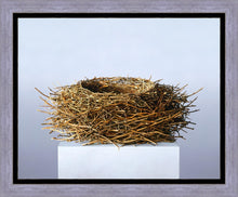 Load image into Gallery viewer, Nest