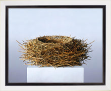 Load image into Gallery viewer, Nest