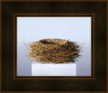 Load image into Gallery viewer, Nest