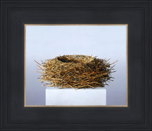 Load image into Gallery viewer, Nest