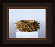 Load image into Gallery viewer, Nest