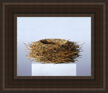 Load image into Gallery viewer, Nest
