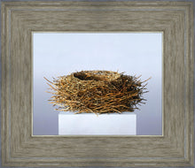 Load image into Gallery viewer, Nest