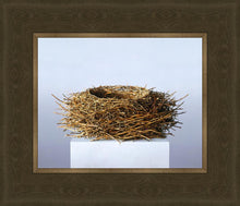 Load image into Gallery viewer, Nest