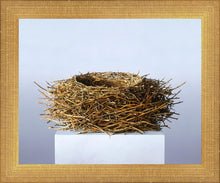 Load image into Gallery viewer, Nest