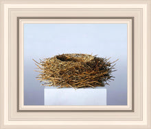 Load image into Gallery viewer, Nest
