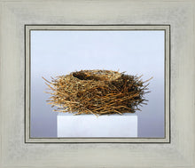 Load image into Gallery viewer, Nest