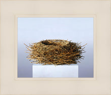 Load image into Gallery viewer, Nest