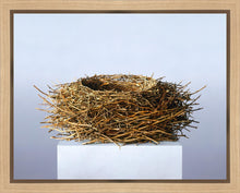 Load image into Gallery viewer, Nest