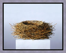Load image into Gallery viewer, Nest