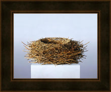 Load image into Gallery viewer, Nest
