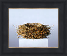 Load image into Gallery viewer, Nest