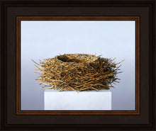 Load image into Gallery viewer, Nest