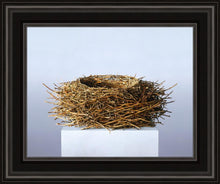Load image into Gallery viewer, Nest