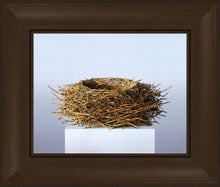 Load image into Gallery viewer, Nest